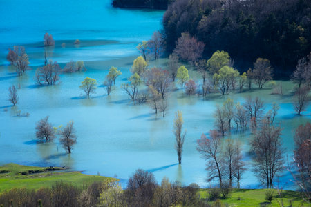 bank of a river of turquoise waters with the riverbed overflowing due to the abundant rainfall, trees partially floodedの写真素材