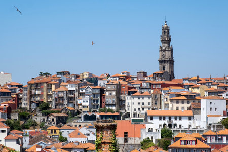 View of colorful houses and the iconic Clerigos Tower under a clear blue sky in Porto, Portugal, capturing the charm and architecture of the historic city center,の写真素材