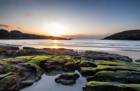 Sunset over a tranquil beach with moss-covered rocks in the foreground and calm waves reflecting the warm evening lightの写真素材