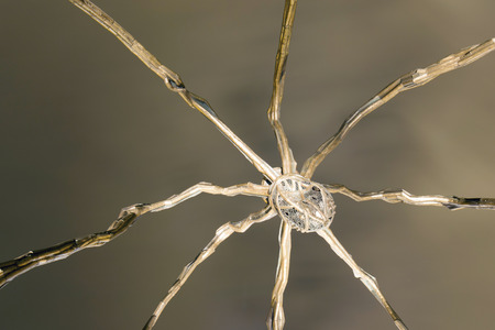 Bilbao, Spain - July 27, 2016: Exterior view at night of the Guggenheim Bilbao Museum. Detail of the head of the "Mother" sculpture by Louise Bourgeois. Low level photography.のeditorial素材