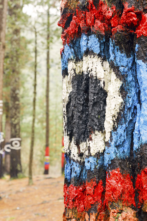 Painted trees on the forest of Oma, Urdaibai Biosphere Reserve, Biscay, Spain.の写真素材