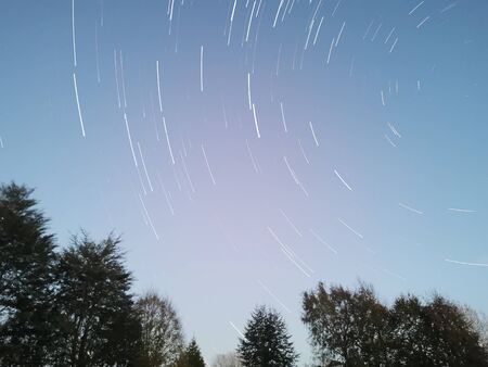 Stars and treesの写真素材