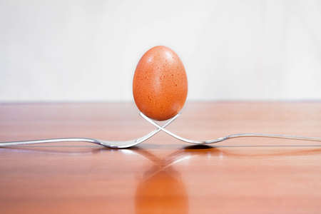 EGG BETWEEN TWO FORKS WOOD