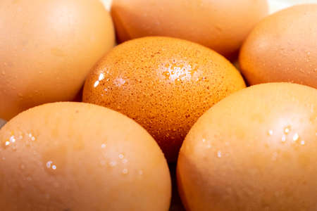 CLOSE UP OF A GROUP OF EGGS