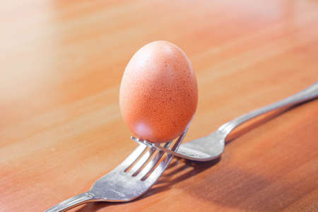 EGG BETWEEN TWO FORKS WOODの写真素材