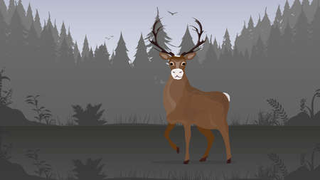 A beautiful large deer stands in the forest. Silhouettes of trees. Good for backgrounds and postcards. Vector.のイラスト素材