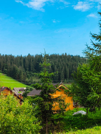 Wooden cottage in the mountains forestの写真素材