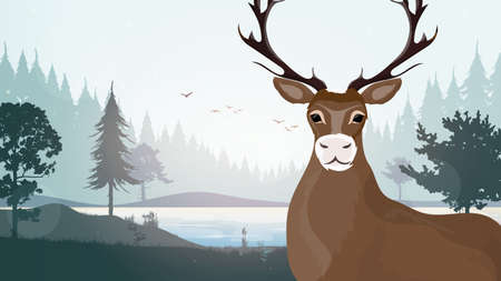 Big horned deer in the forest. Silhouettes of trees. Vector.のイラスト素材