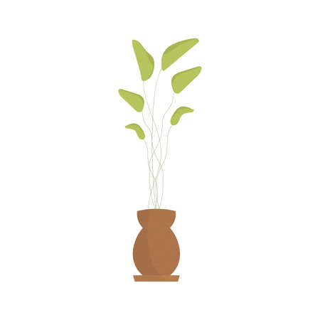 Home plants in a brown pot. isolated. flat style. vector illustrationのイラスト素材