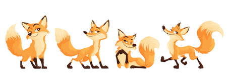 A set of sly foxes. Funny and cunning red fox collection. Animal emotion. Animal character design. Vector illustration isolated on white background.のイラスト素材