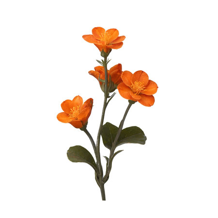 Captivating image of a Geum flower stem featuring vivid orange blossoms and green foliage. Perfect for floral design projects, naturethemed content, and elegant presentations.の素材