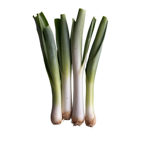 Four fresh leeks are isolated on a clean white background. The leeks showcase their green tops and white stalks, perfect for culinary purposes.の素材