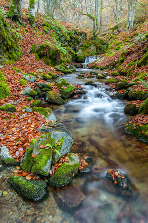 autumn on the riverの写真素材