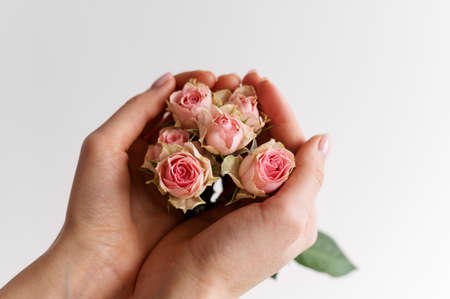 Hand holding elegant flowerの写真素材