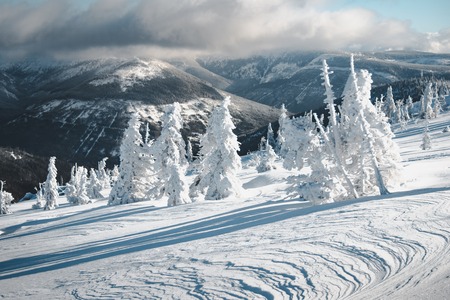 White beautiful winter landscape with mountains, blue sky and trees covered with fresh snow.の写真素材