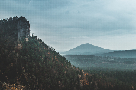 Wood and rock landscape in Bohemian Switzerland, national natural area with amazing nature, protected area Saxon Switzerland National Parkの写真素材