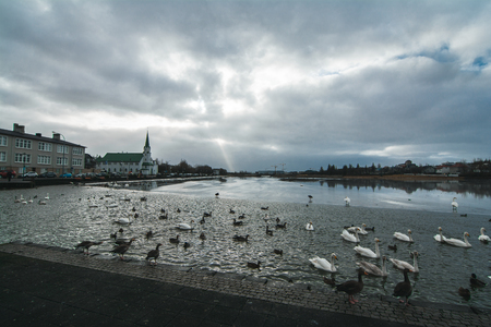 The City of Reykjavik with Tjornin Pond in the Foreground, Icelandの写真素材