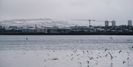Majestic mountains raising above Reykjavik and the coastの写真素材