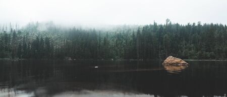 Moody lake and forest in background with solid fogの写真素材