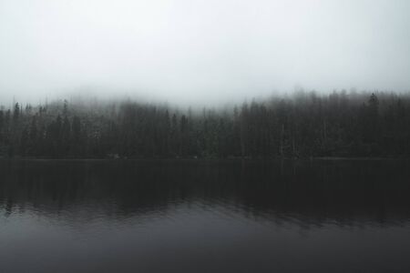 Moody lake and forest in background with solid fogの写真素材