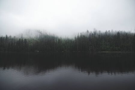 Moody lake and forest in background with solid fogの写真素材