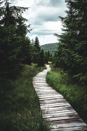 Wooden path in Jizera Mountains, Czech Republic