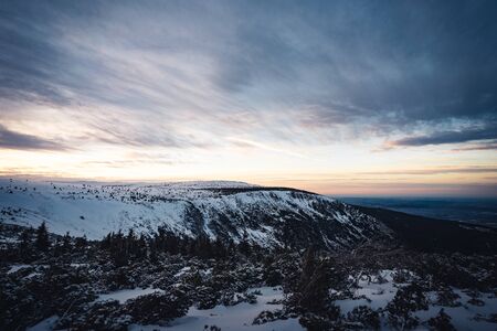 Winter landscape in Krkonose, after sunset beautifully painted landscape in shades of blue and pink...