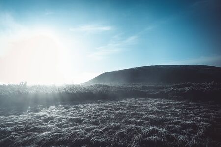 Beautiful morning in Krkonose national park, Czech republic