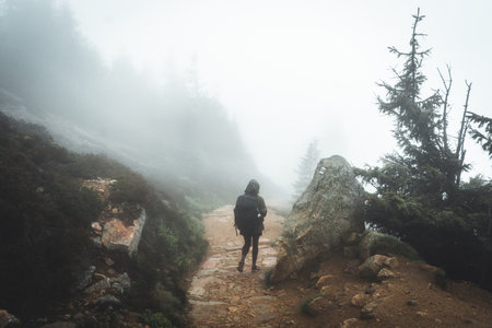 Woman walks the trail of forest in a foggy autumn day in Krkonose, Czech Republicの写真素材