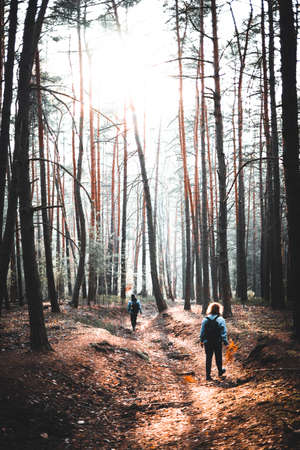 Group of young friends walking in the winter cold forestの写真素材