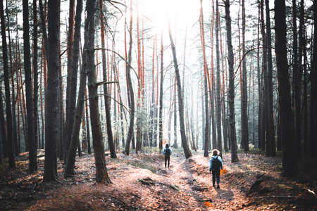 Group of young friends walking in the winter cold forestの写真素材