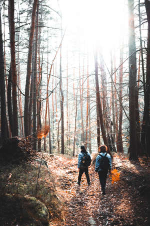 Group of young friends walking in the winter cold forestの写真素材