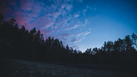 Lots of stars showing in the night sky over a forested area in the Czech Republic.の写真素材