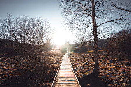 Wooden path in nature. Old gray wood. Wooden walkway in Sumava, Czech Republic.の写真素材