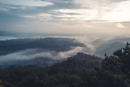 Foggy landscape. Misty foggy morning with sunrise in a valley of Bohemian Switzerland park. Landscape of Czech Republic, beautiful national park Bohemian Switzerland.の写真素材