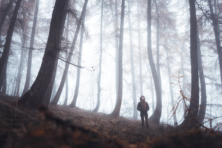 Misty forest covered in fog with twisted trees and woman standing in backgroundの写真素材