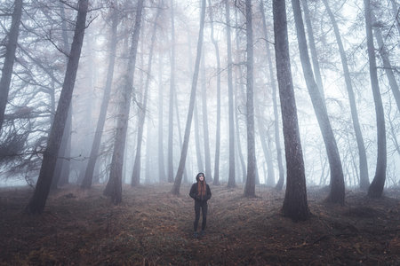 Misty forest covered in fog with twisted trees and woman standing in backgroundの写真素材