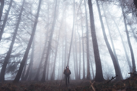 Misty forest covered in fog with twisted trees and woman standing in backgroundの写真素材