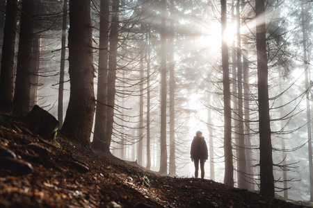 Forest with rays of warm light and a woman standing in the background, Czech republic, Krkonose national parkの写真素材