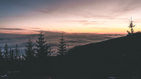 Sunset view in the Krkonose Mountains during autumn. Landscape above clouds. Purple pink sky with sun going down. Czech Republic.の写真素材