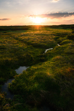 Scenic view of beautiful sunset or sunrise above the swamps, grass and little stream in Krkonose, Czech republicの写真素材