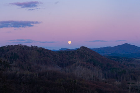 Pastel pink and blue tones in sunset sky with moon in the evening, forest landscape in Hrensko, Czech Republicの写真素材