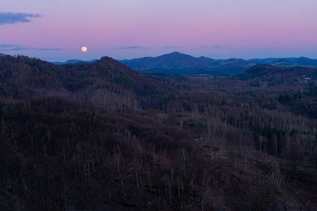 Pastel pink and blue tones in sunset sky with moon in the evening, forest landscape in Hrensko, Czech Republicの写真素材