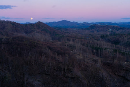 Pastel pink and blue tones in sunset sky with moon in the evening, forest landscape in Hrensko, Czech Republicの写真素材