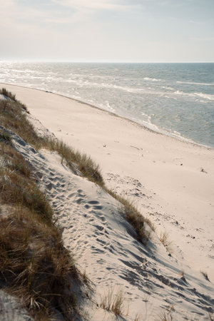 A beautiful sandy beach stretches out before you, with the vast ocean gently lapping at the shore in the background, creating a serene atmosphereの写真素材