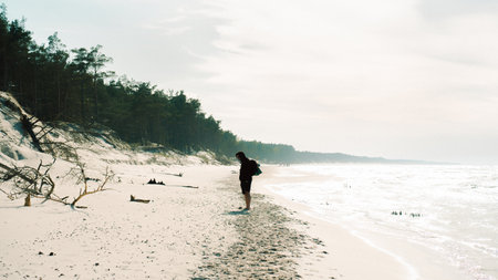 A solitary individual is standing on a picturesque beach, surrounded by lush trees in the background, enjoying the scenic viewの写真素材