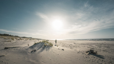 Two individuals leisurely walking along a sandy beach that sits right next to the vast ocean, enjoying the beautiful scenery around themの写真素材
