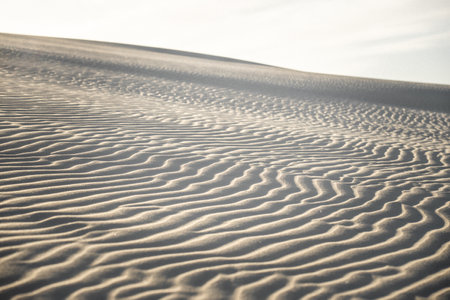 A stunning sand dune positioned against a pristine, white sky in the background, creating a beautiful contrast in the natural landscapeの写真素材