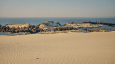 A beautiful sandy beach stretches out with the vast ocean beautifully visible in the background, creating a picturesque sceneの写真素材