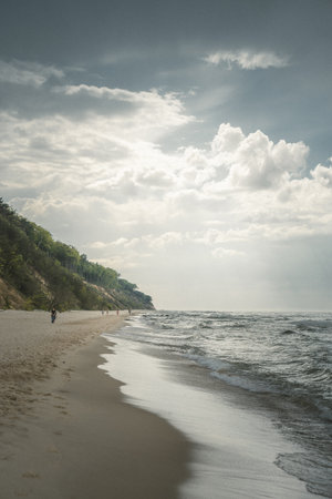 A serene beach scene unfolds on a cloudy day, complemented by lush trees gracefully standing in the background, creating a peaceful atmosphereの写真素材